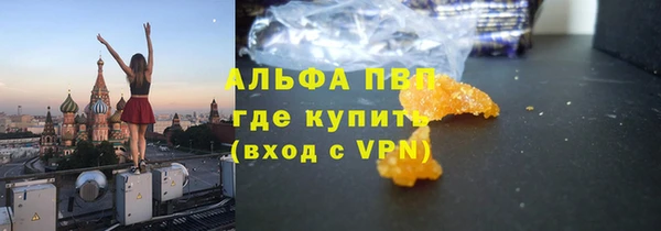 дживик Липки