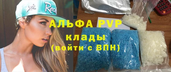 дживик Липки