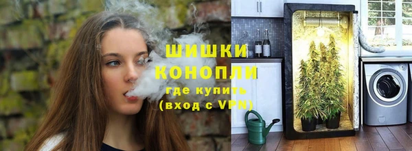 дживик Липки